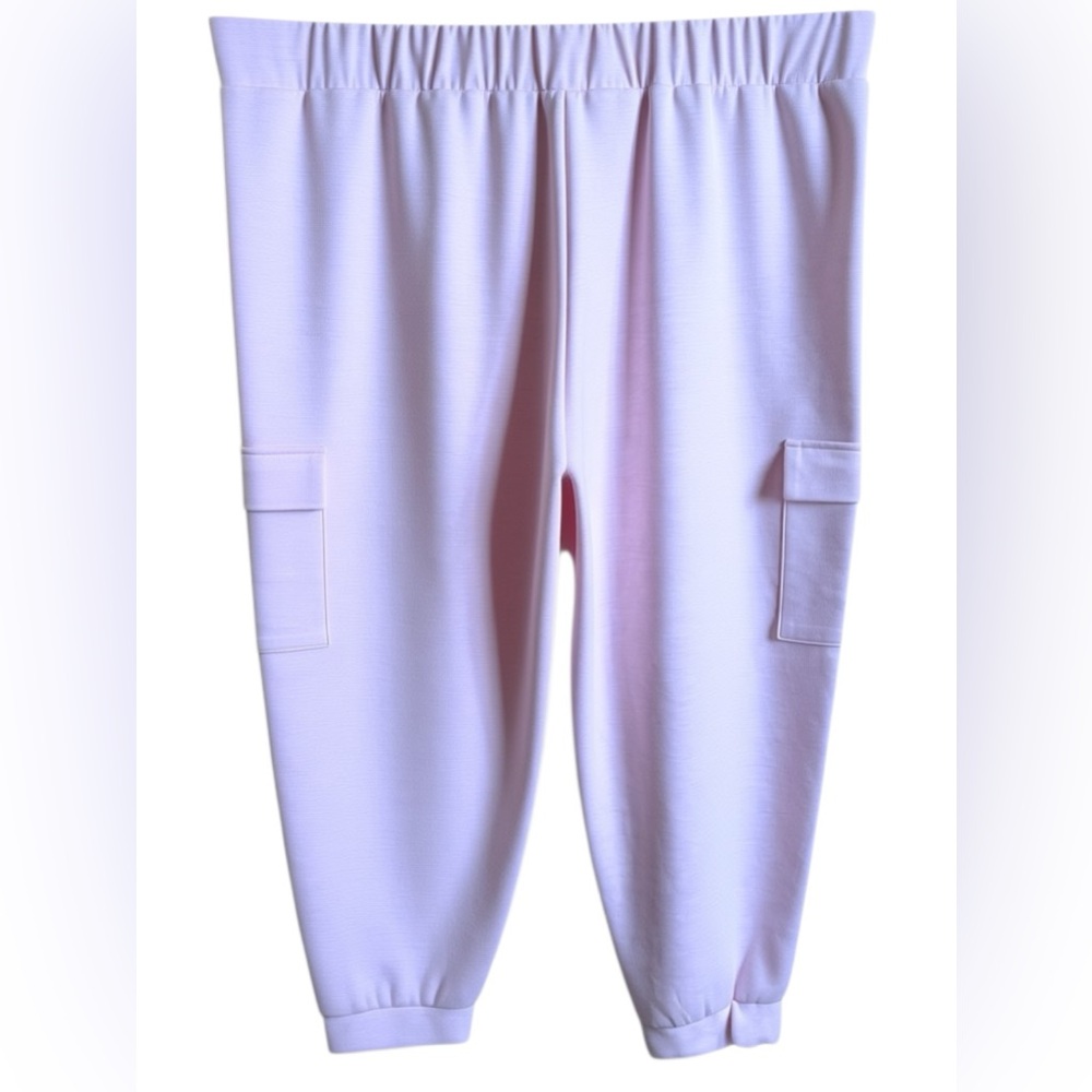NWOT Express Pale Heathered Pink Casual Joggers Size XXL